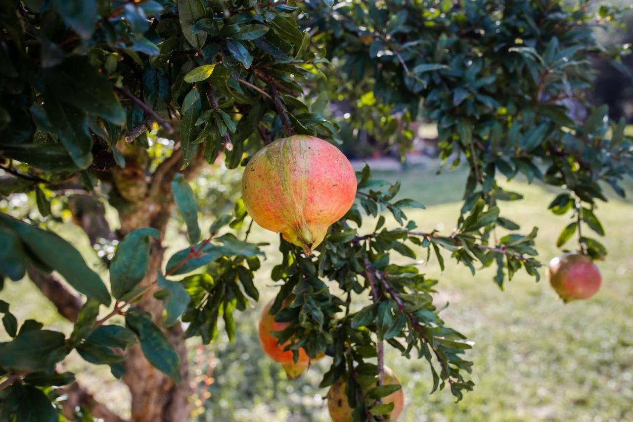 Appartamento A Casa Di Sara Tivoli Esterno foto